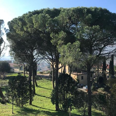 Villa Maria Collepepe Exterior photo